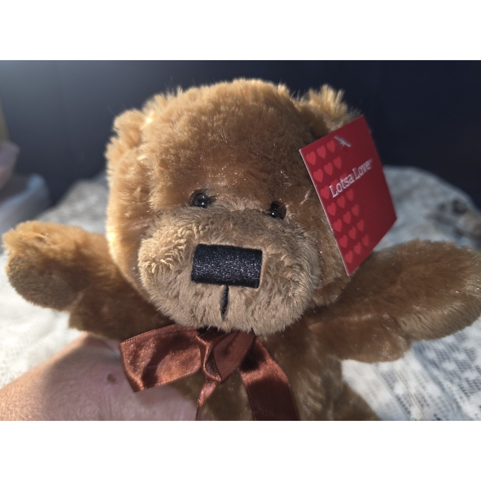 Anico Lotsa Love Meet Sweet Honee White Teddy Bear Plush Stuffed Animal 8.5" Nwt