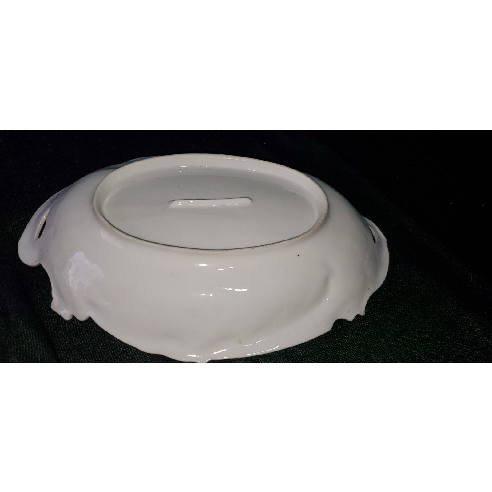 Old Bavaria Prussia Mold Double Handled Plate Tray Hand Painted Flower