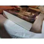 Twilight Reign Ser.: The Ragged Man by Tom Lloyd (2010, Trade Paperback)