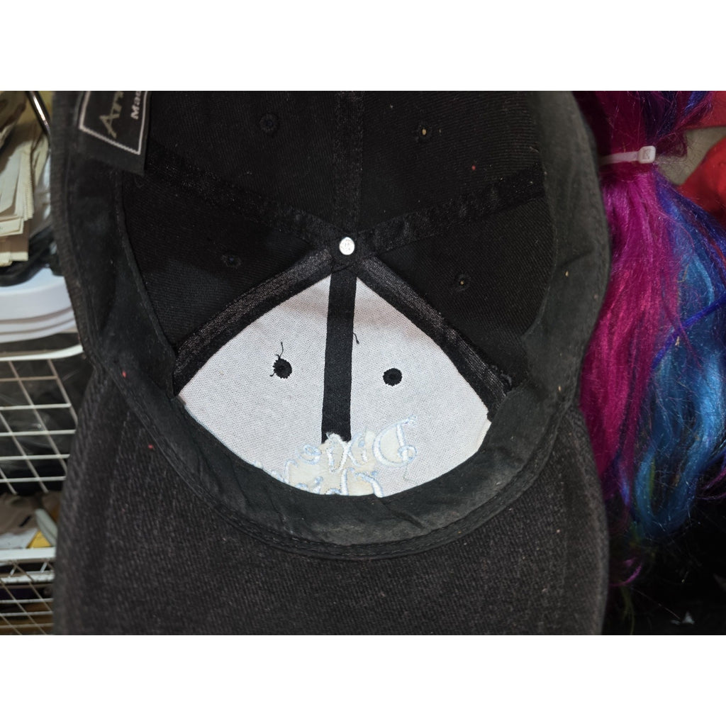 VNTG Dixie Chicks '90s Promotional Hat Cap Chicks Band Country Music Free Ship