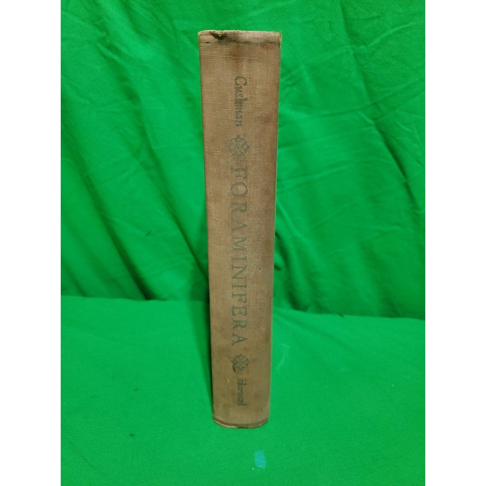 Rare Vntg. FORAMINIFERA THEIR CLASSIFICATION AND ECONOMIC USE Joseph A. Cushman