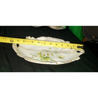 Old Bavaria Prussia Mold Double Handled Plate Tray Hand Painted Flower