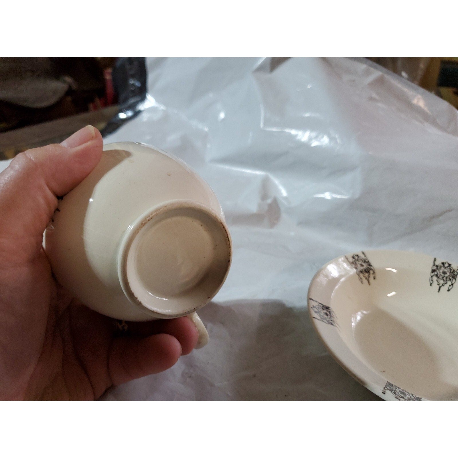 Taylor Smith Taylor china Tea / Coffee Cup and saucer
