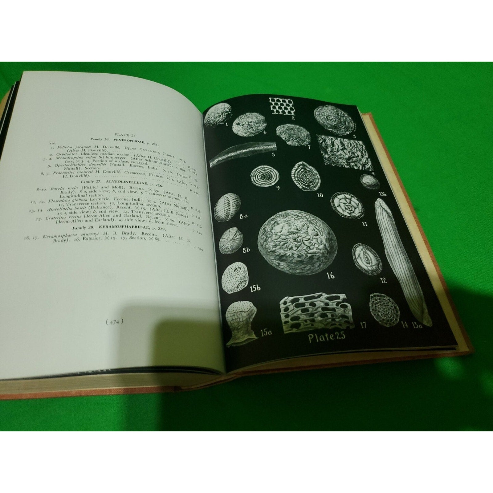 Rare Vntg. FORAMINIFERA THEIR CLASSIFICATION AND ECONOMIC USE Joseph A. Cushman