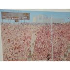 1986 Cotton Bowl Signed Litho 27 x 21 1/4 Original Football Man Cave Texas A&M