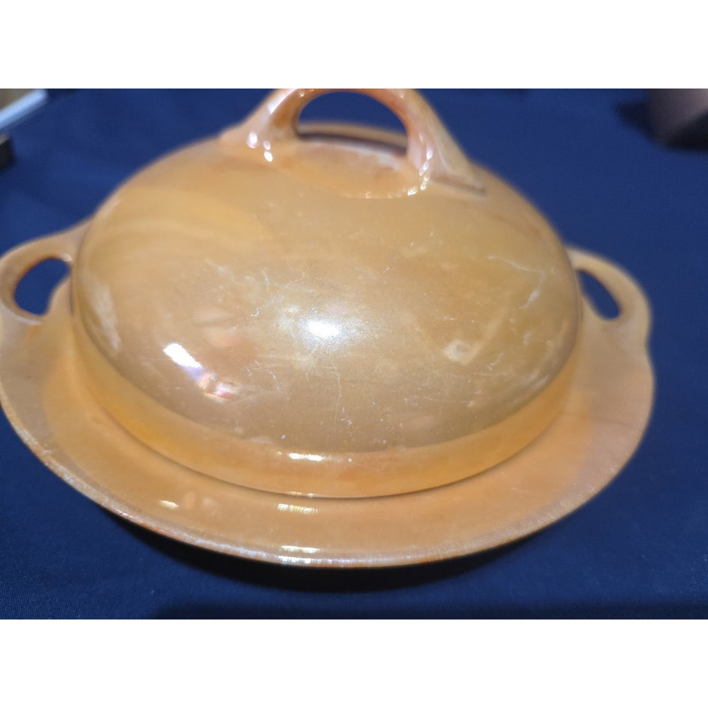 Vintage J&C Bavaria Covered Vegetable Serving Dish Hand Painted & Glazed
